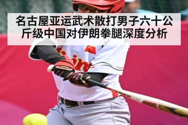 名古屋亚运武术散打男子六十公斤级中国对伊朗拳腿深度分析